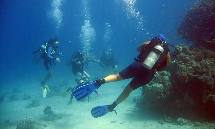 13 Rocafel 7 Playa Albufereta Alicante Dış mekan fotoğraf